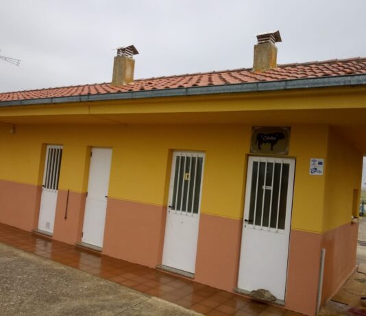 Contratación del arrendamiento del bar anejo piscina municipal. Temporada 2024.